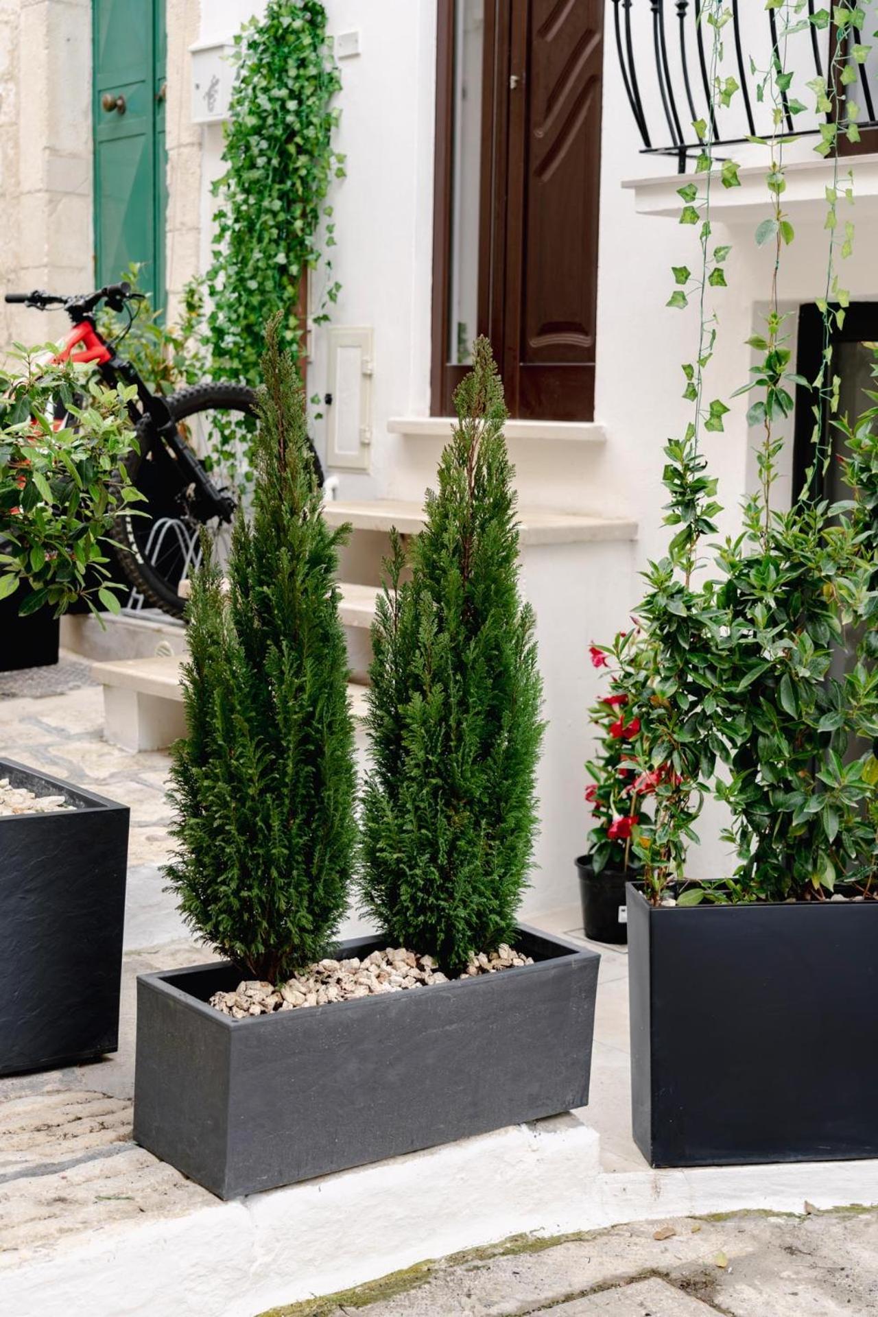 La Maison - Private Wellness Остуни Экстерьер фото